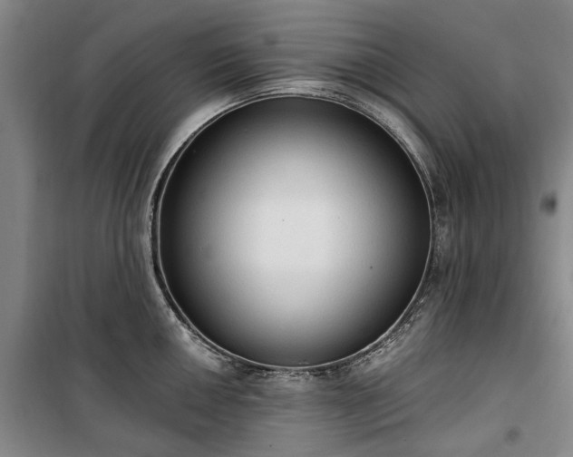 X0000100331050200806121123