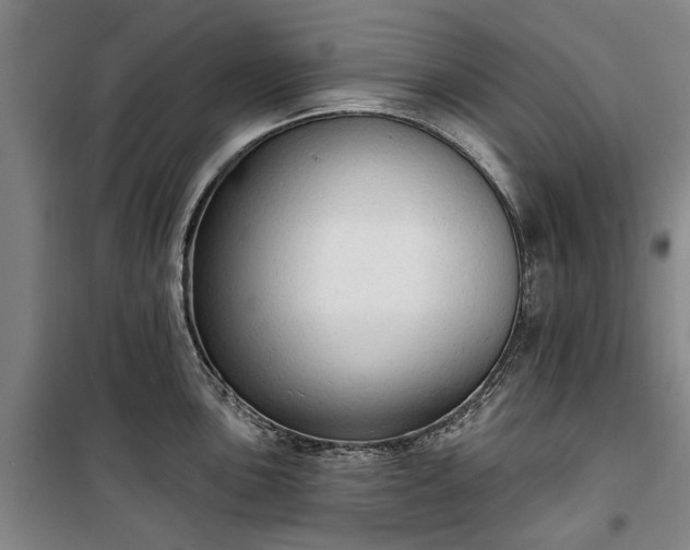 X0000100331051200806121123