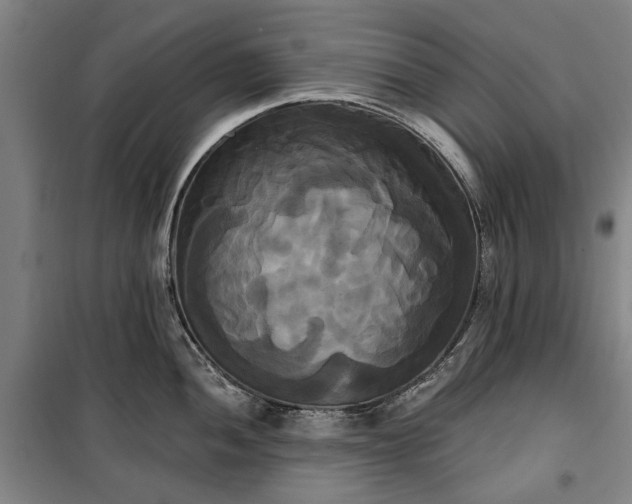 X0000100331052200806121123