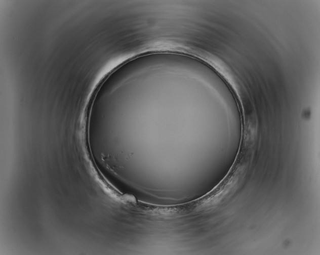 X0000100331053200806121123