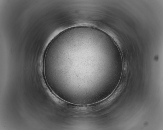 X0000100331054200806121123