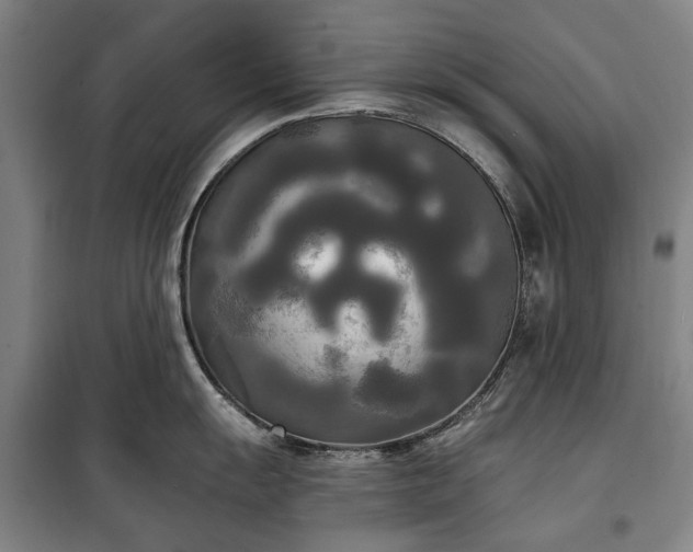 X0000100331055200806121123