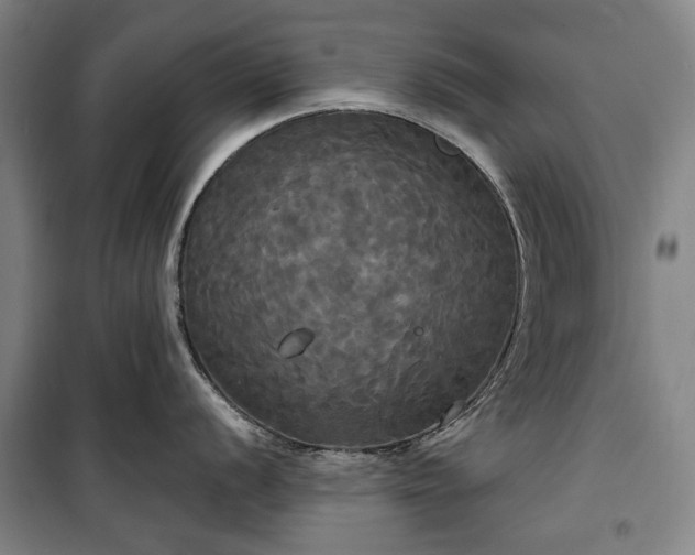 X0000100331056200806121123