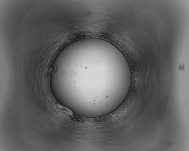 X0000100331057200806121122