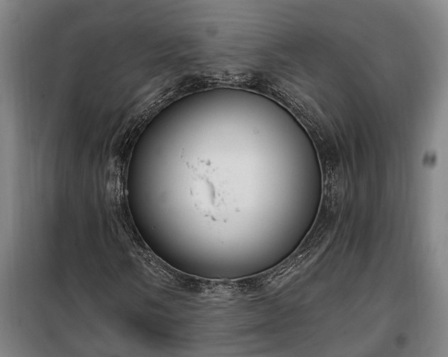 X0000100331058200806121122