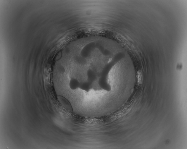 X0000100331059200806121122