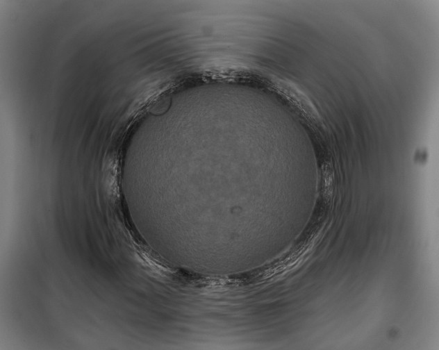 X0000100331060200806121122