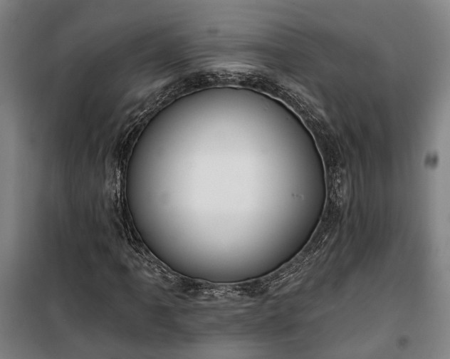 X0000100331061200806121122