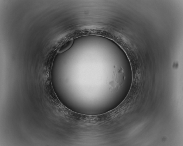 X0000100331062200806121122