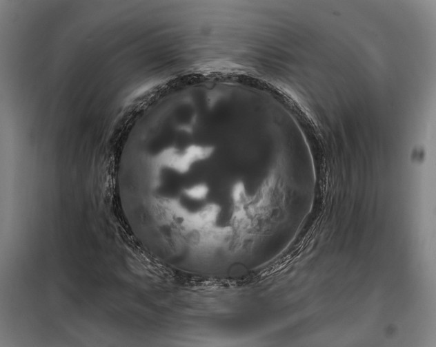 X0000100331063200806121122