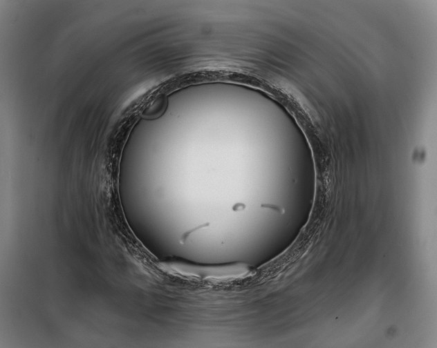 X0000100331064200806121122