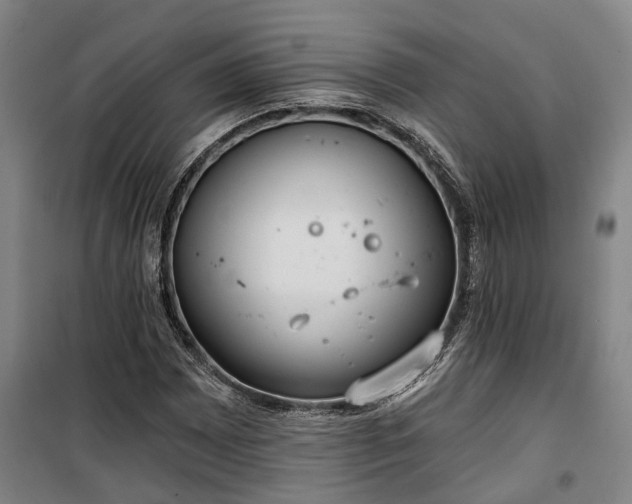 X0000100331065200806121122