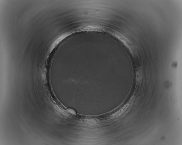 X0000100331066200806121122