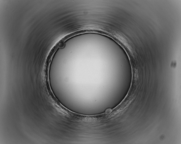 X0000100331068200806121122