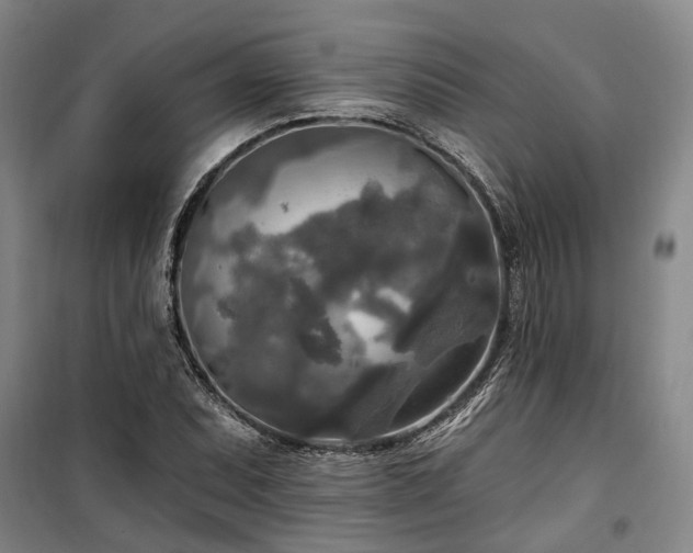 X0000100331071200806121122