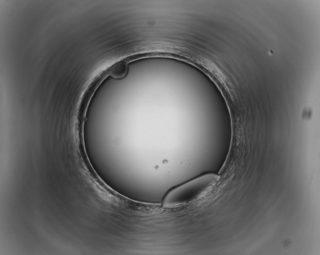 X0000100331072200806121122