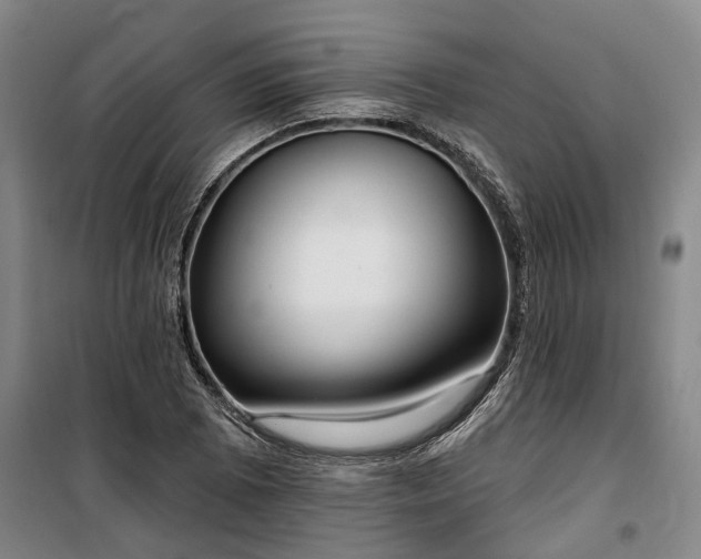 X0000100331073200806121122