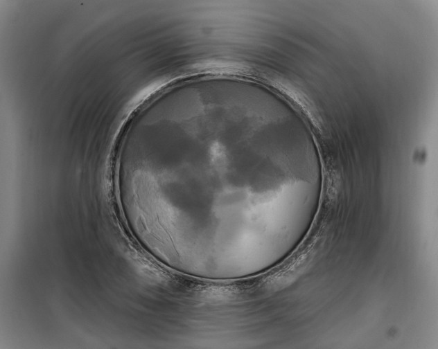 X0000100331074200806121122