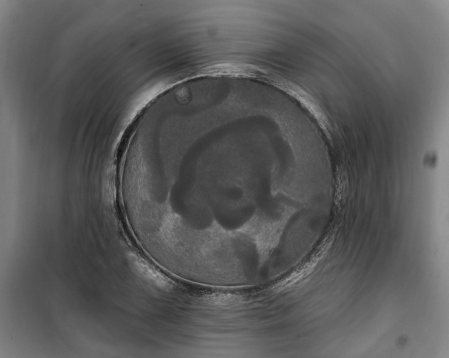 X0000100331075200806121122