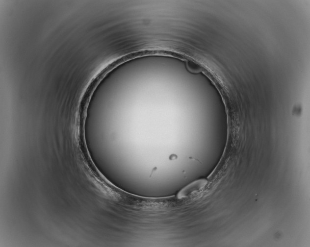 X0000100331076200806121122