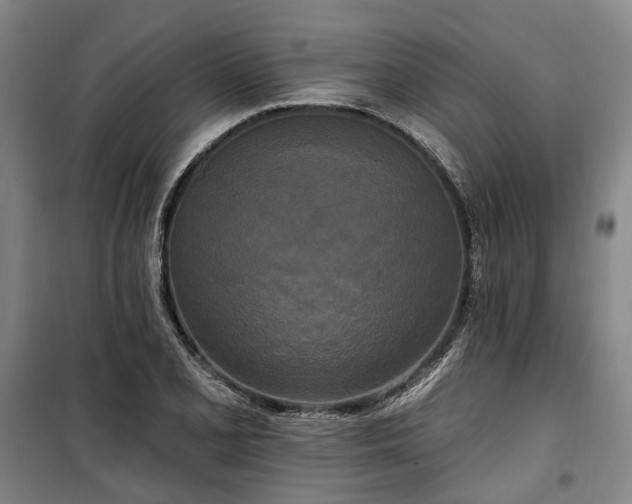 X0000100331077200806121122