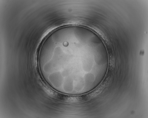 X0000100331078200806121122