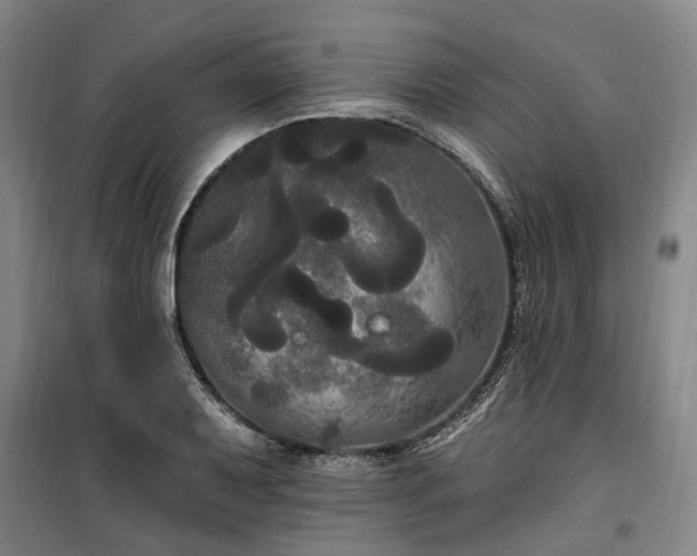 X0000100331079200806121122