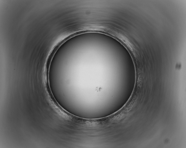 X0000100331080200806121122