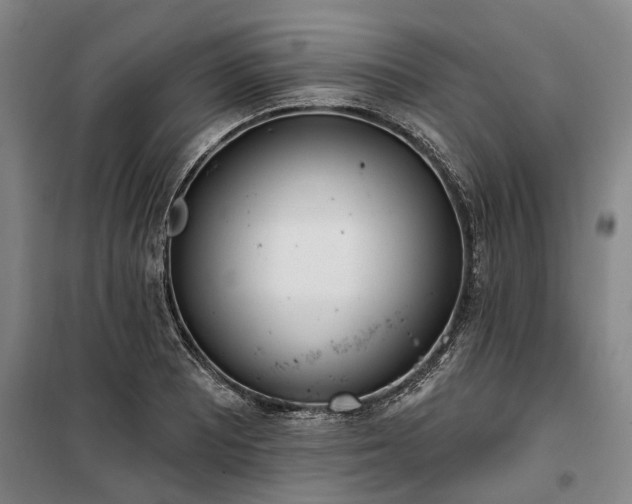 X0000100331081200806121122