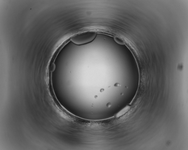 X0000100331082200806121122