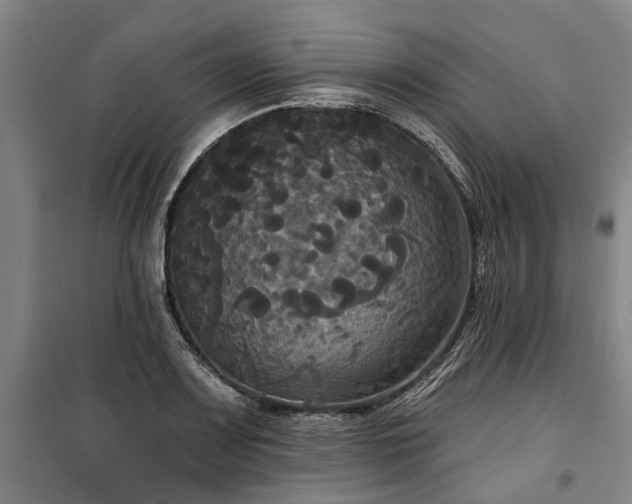 X0000100331083200806121122