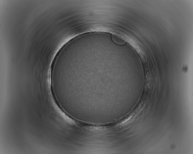 X0000100331084200806121122