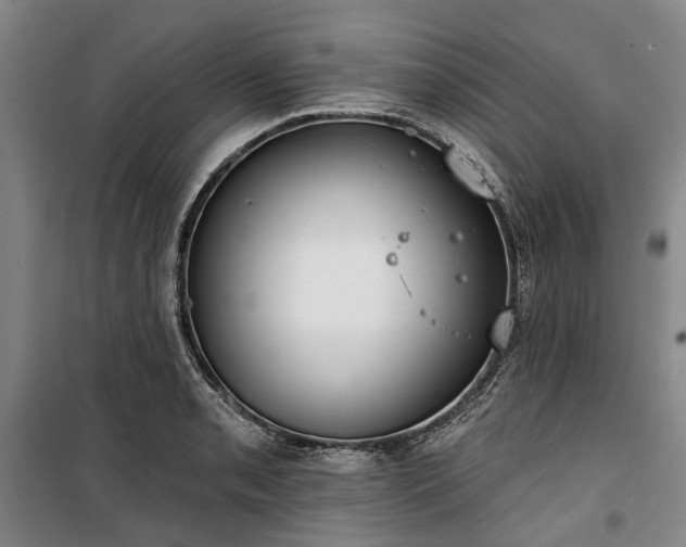 X0000100331085200806121122