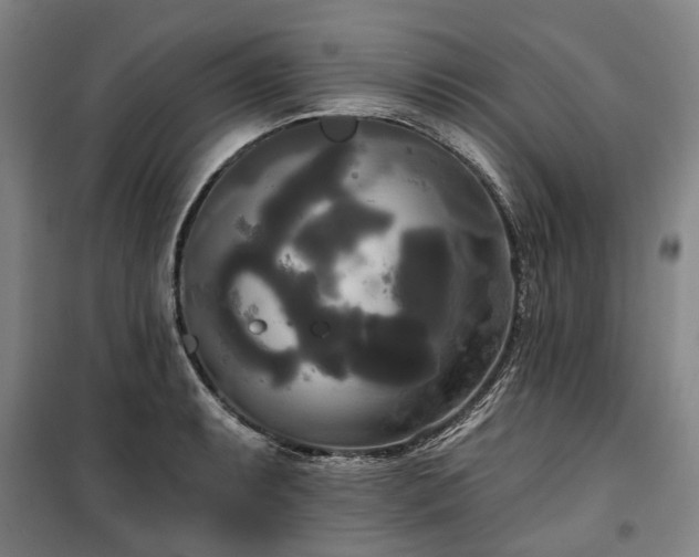 X0000100331087200806121122