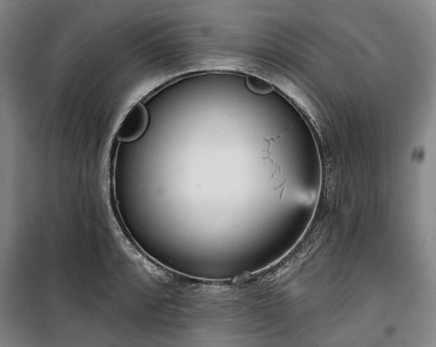 X0000100331088200806121122