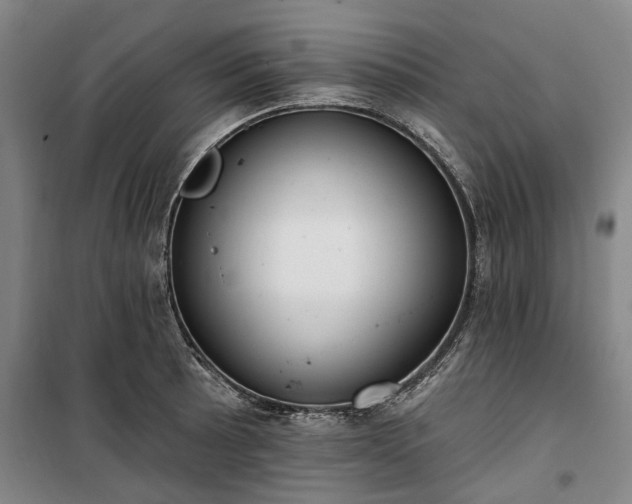 X0000100331089200806121122