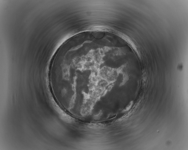 X0000100331091200806121122