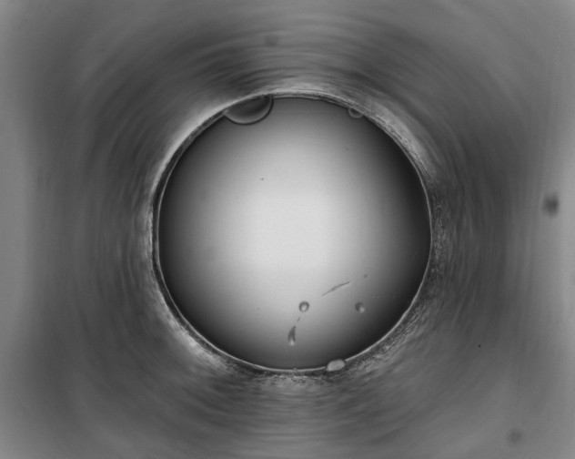 X0000100331092200806121122