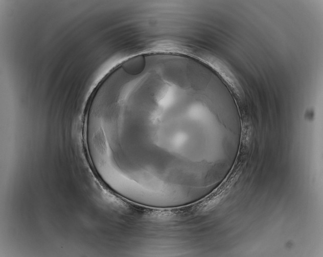 X0000100331094200806121122