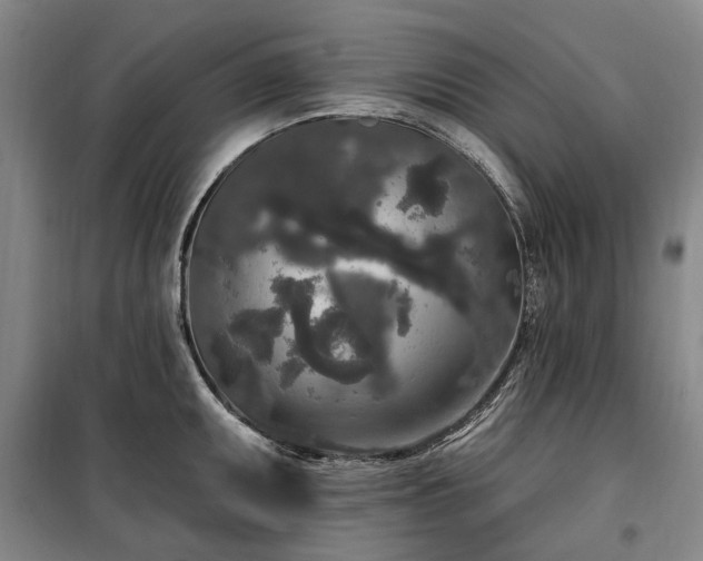 X0000100331095200806121122