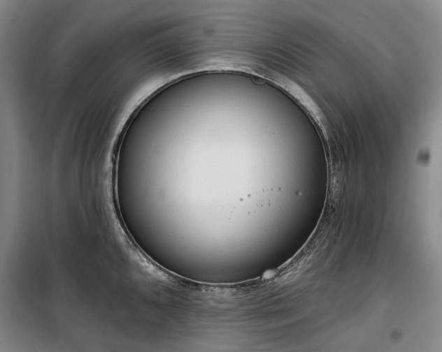 X0000100331096200806121122