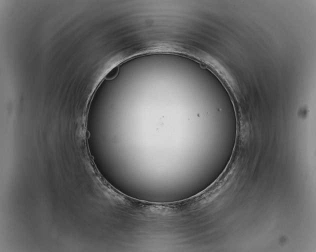 X0000100331097200806121122