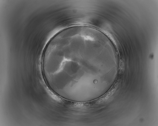 X0000100331098200806121122