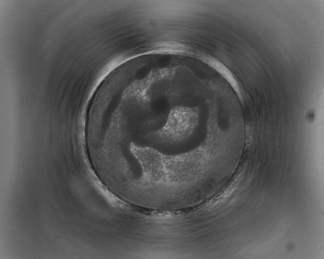 X0000100331099200806121122