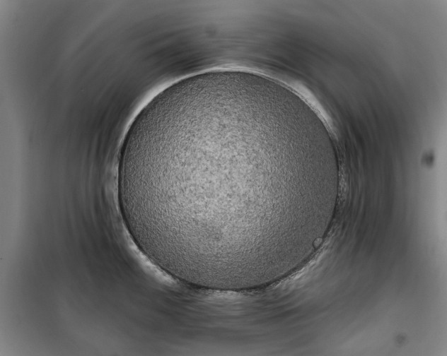 X0000100331100200806121122