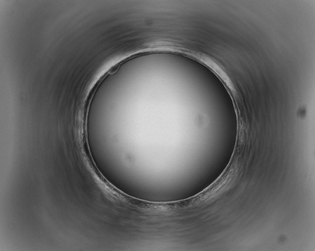 X0000100331101200806121122