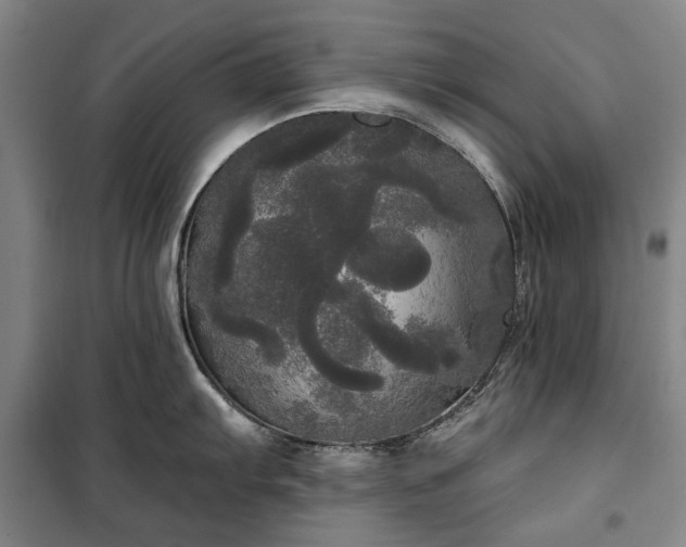 X0000100331103200806121122