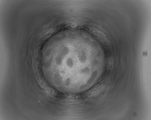 X0000100331105200806121121