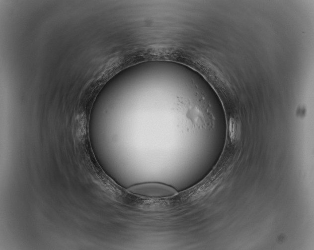 X0000100331107200806121121