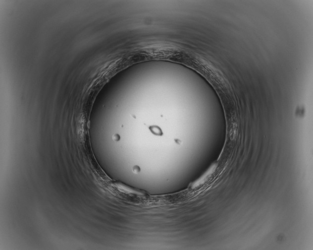 X0000100331108200806121121